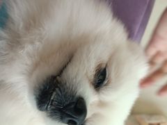 -怪兽屋·羊驼·猫咖·狗咖(俊华广场店)