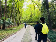 -紫金山山顶公园
