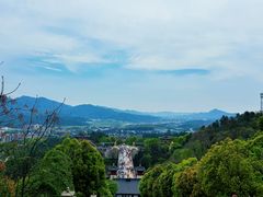 -庐山风景名胜区-东林大佛