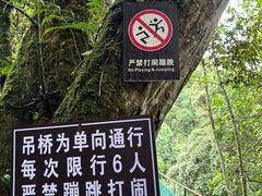 -大围山国家森林公园