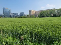 -黄公望隐居地