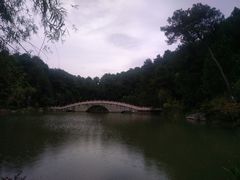 景点-铁山坪森林公园