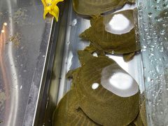 -三旗百汇商品城