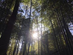 -山沟沟景区