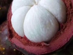 -鲜力达果品批发直销(青山店)