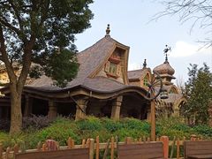 -Tangled Tree Tavern 老藤树食栈