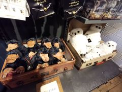 -九又四分之三站台哈利波特商店