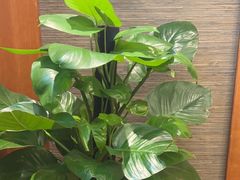 -渝信川菜(西单店)