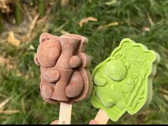 -成都大熊猫繁育研究基地
