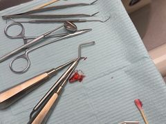 -齐玉齿科JADENTAL