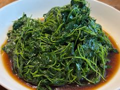 酒香金花茶-椿不老