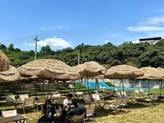 -桃源山庄·水蜜桃采摘·柴火鸡·烧烤团建(龙泉山店)