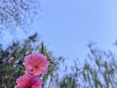 -陶然亭公园