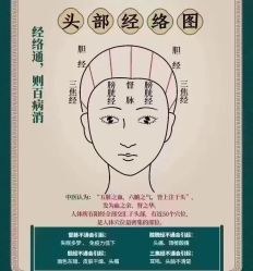 -星港国际·Skin皮肤专研·皮肤管理