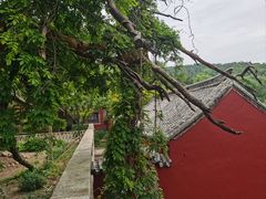 -泰山风景名胜区-普照寺