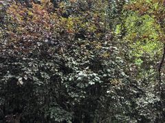 -方山风景区定林寺