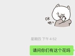 -花木兰花艺MULAN(温馨花园店)