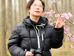 -黄海国家森林公园