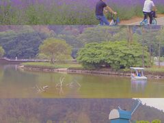 -南沙蒲洲花园