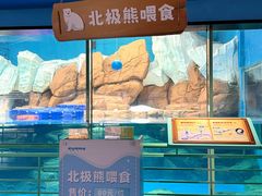 -海合安武汉极地海洋公园