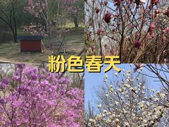 -沈阳植物园