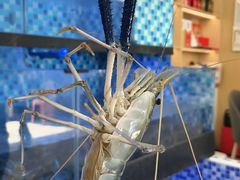 -七的湖·晚芳亭·阳澄湖农家菜·大闸蟹(莲花岛店)