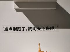 -武汉光谷K11