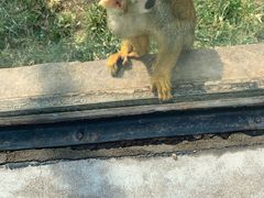 -石家庄市动物园