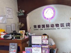 -宠爱国际动物医院·疑难骨科·心肾内科·皮肤科(太阳宫店)