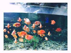 -福州罗源湾海洋世界旅游区