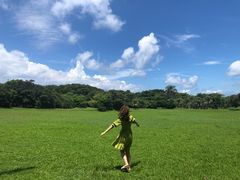 -鹅銮鼻公园
