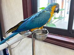 -观桥阁(锦溪店)