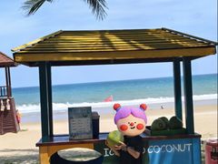 -三亚海棠湾万丽度假酒店