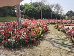 -厦门园林博览苑
