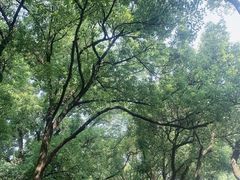 -浙江大学(玉泉校区)