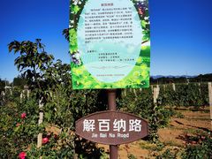 -北京张裕爱斐堡酒庄