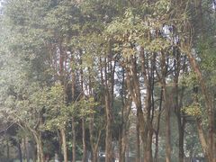 -沙河三洞古桥公园