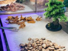 -比尔森巴西烤肉自助(红旗街店)