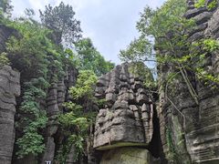 -梭布垭石林景区