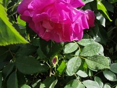 -上海交通大学(闵行校区)