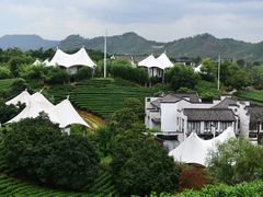 -帐篷客·溪龙茶谷度假酒店