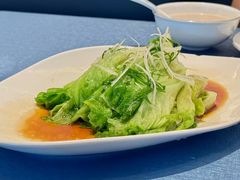 白灼罗马生菜-闽海肴(北辰荟店)