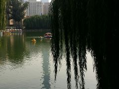 -团结湖公园