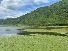 -腾冲北海湿地