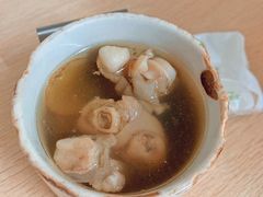 羊蹄草根汤-广达眼镜炖罐(广达店)