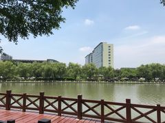 -上海市第一人民医院(松江南部)