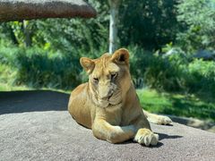 -北京野生动物园