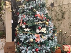 -Osteria Garden 生蚝花园餐厅(原进贤路店)