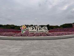 -上海鲜花港