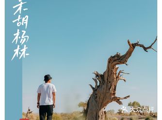 【旅拍摄影】新疆旅拍，与远古生物相遇